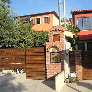 studios-arabas.hotelschalkidiki.net/